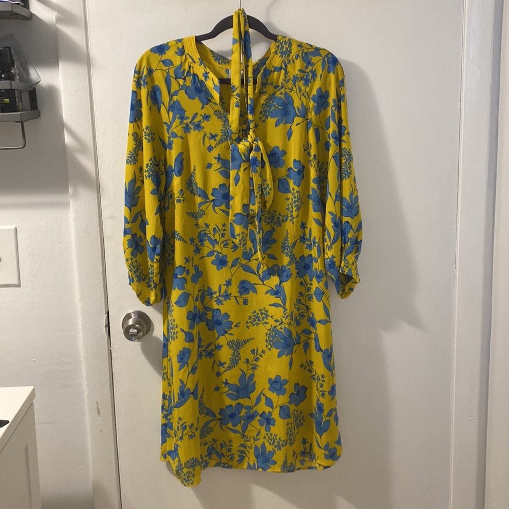 Cabi dress